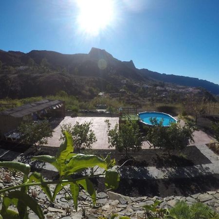 Ecotara Canary Islands Guest House Fataga Bagian luar foto