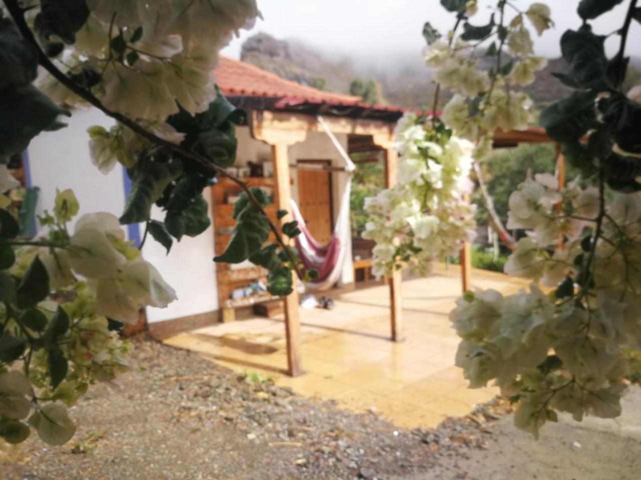 Ecotara Canary Islands Guest House Fataga Bagian luar foto