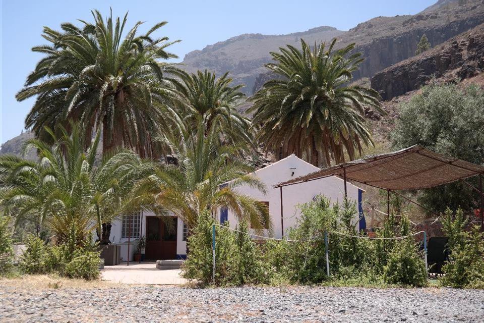 Ecotara Canary Islands Guest House Fataga Bagian luar foto