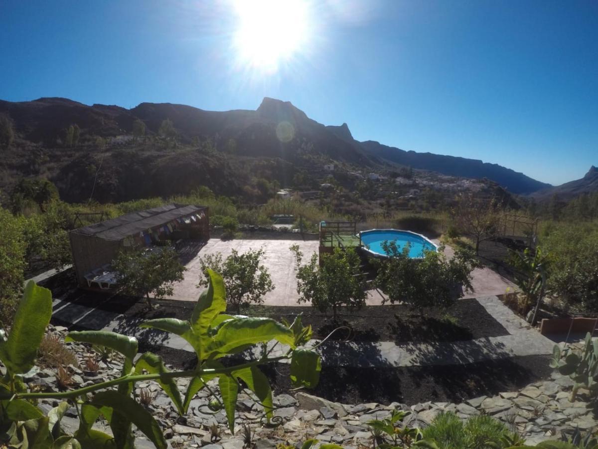 Ecotara Canary Islands Guest House Fataga Bagian luar foto